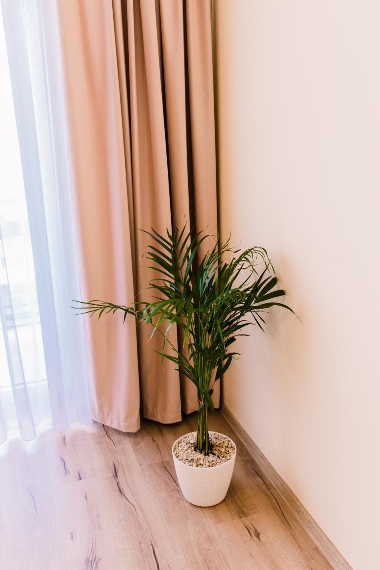 Central White Apartment Сату-Маре Екстер'єр фото