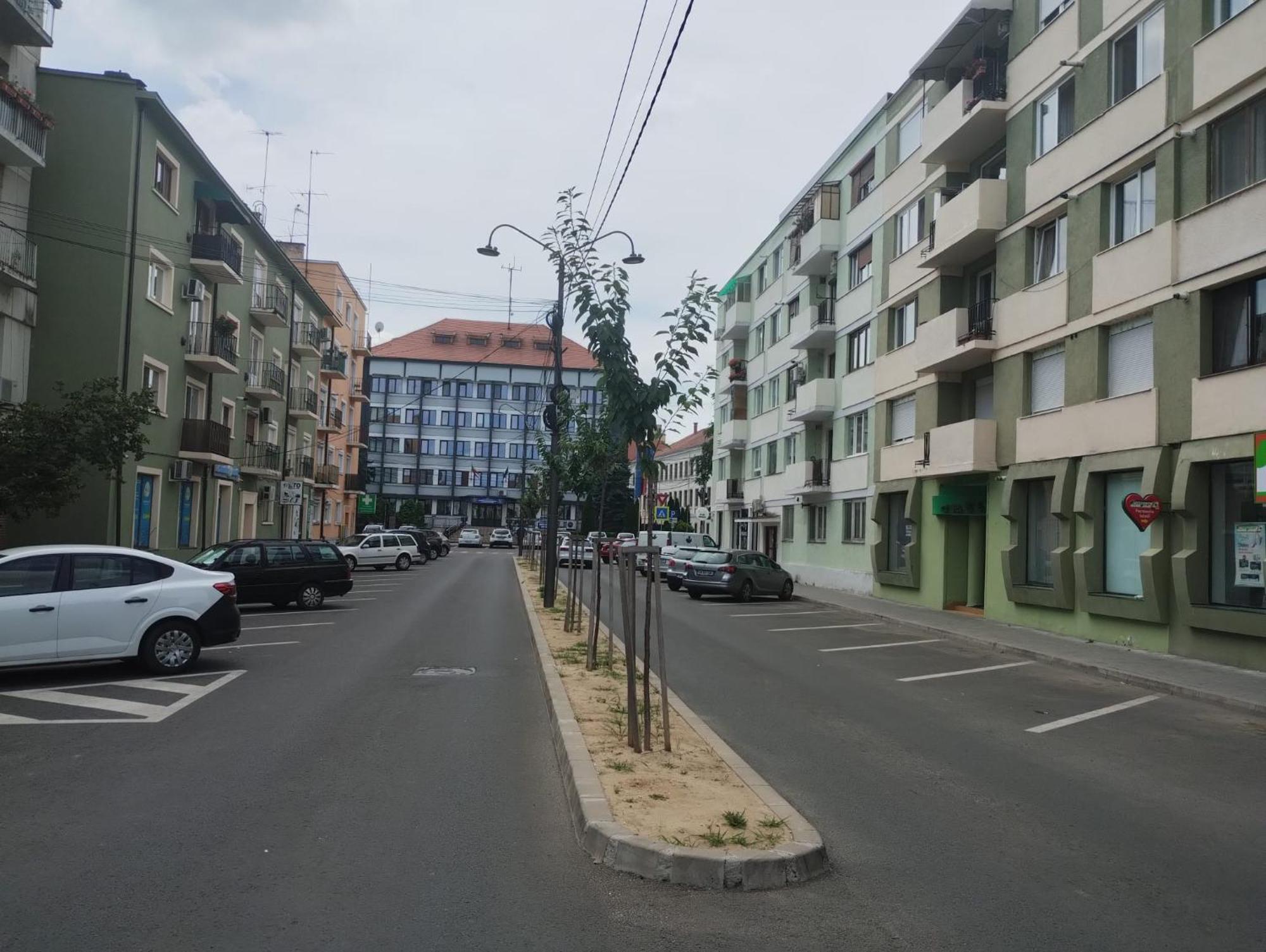 Central White Apartment Сату-Маре Екстер'єр фото